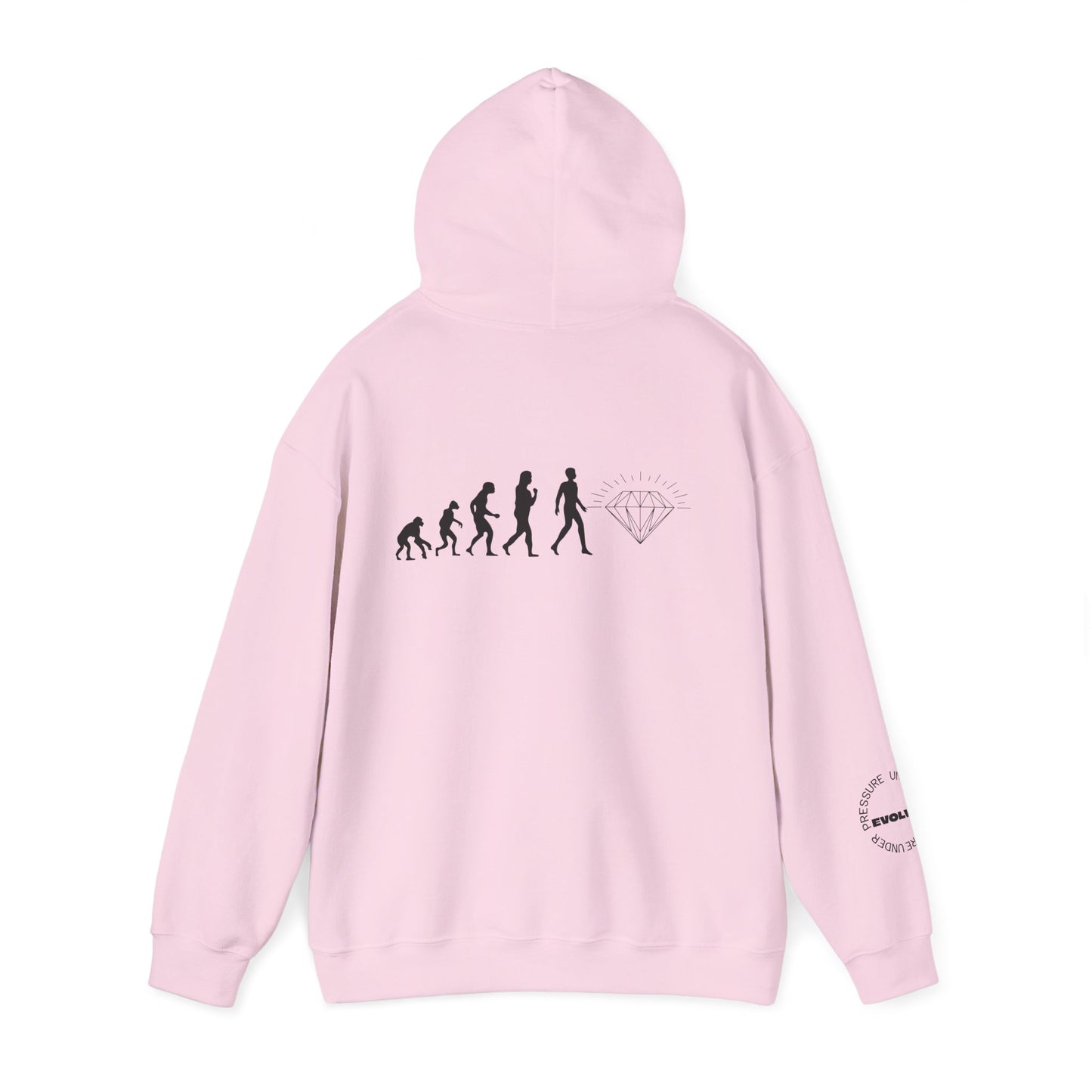 Evolution Hooded Sweatshirt