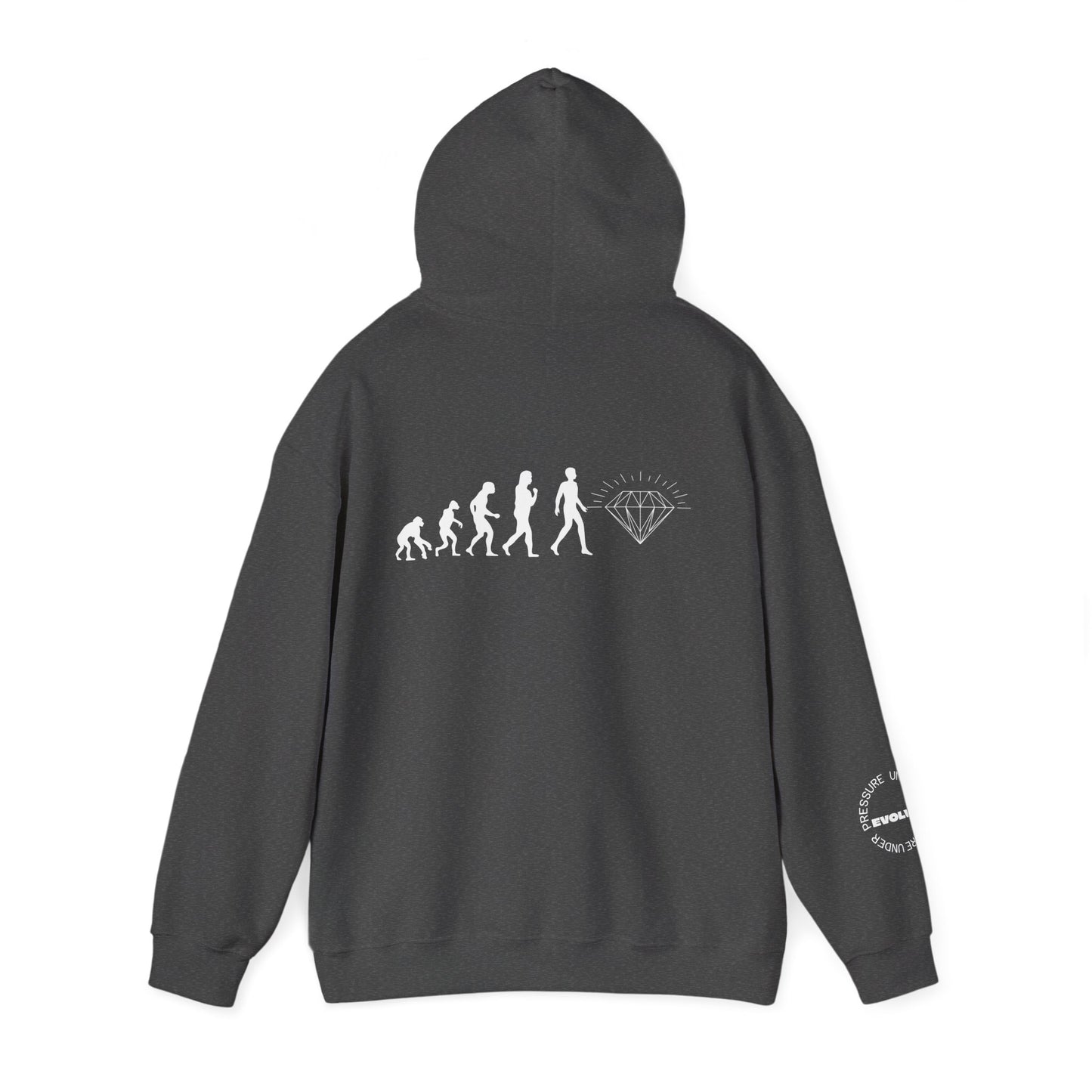 Evolution Hooded Sweatshirt